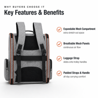 Sac à dos de transport pour chat, pliable, respirant, avec fenêtres en maille, personnalisable en usine, pour les voyages des animaux de compagnie