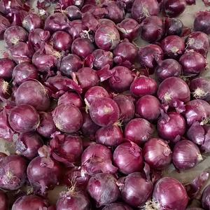 Cebollas Rojas Frescas de Yunnan, Calidad Premium, Certificación Global, Aroma Intenso, Sabor Dulce, Tamaño Pequeño 3-5cm/5-8cm, Bolsa de Malla de 10kg/20kg - Product Image 4