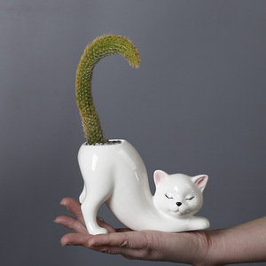 Vaso per Piante Grasse in Ceramica a Forma di Coda di Gatto HY Creative, Vaso Creativo a Forma di Coda di Scimmia per Cactus e Piante Succulente, Stile Cartone Animato, per Esportazione - Product Image 4