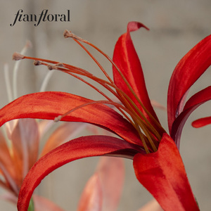 ดอกอามาริลลิสพลาสติกทำมือเหมือนจริงสำหรับตกแต่งคอนเสิร์ต ขายส่ง - Product Image 6