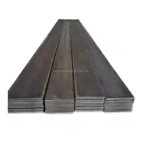 Barra piana laminata a caldo del acciaio al carbonio della superficie della costruzione su misura prezzo economico del pannello del tetto di AiSi 0.2 ~ 4.0