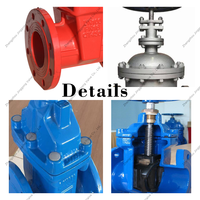 Vanne à opercule à tige non relevable en fonte ductile, joint NBR, DN250 PN10, raccordement à bride, pour systèmes CVC et irrigation