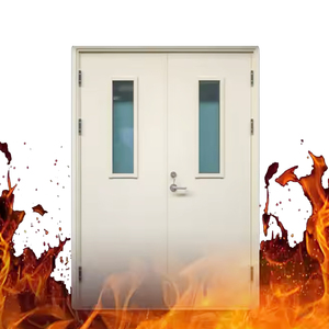 Porte ignifuge en acier isolée à double passage ouvert pour centre commercial et atelier <span class=keywords><strong>Verre</strong></span> peint pour application hospitalière - Product Image 5