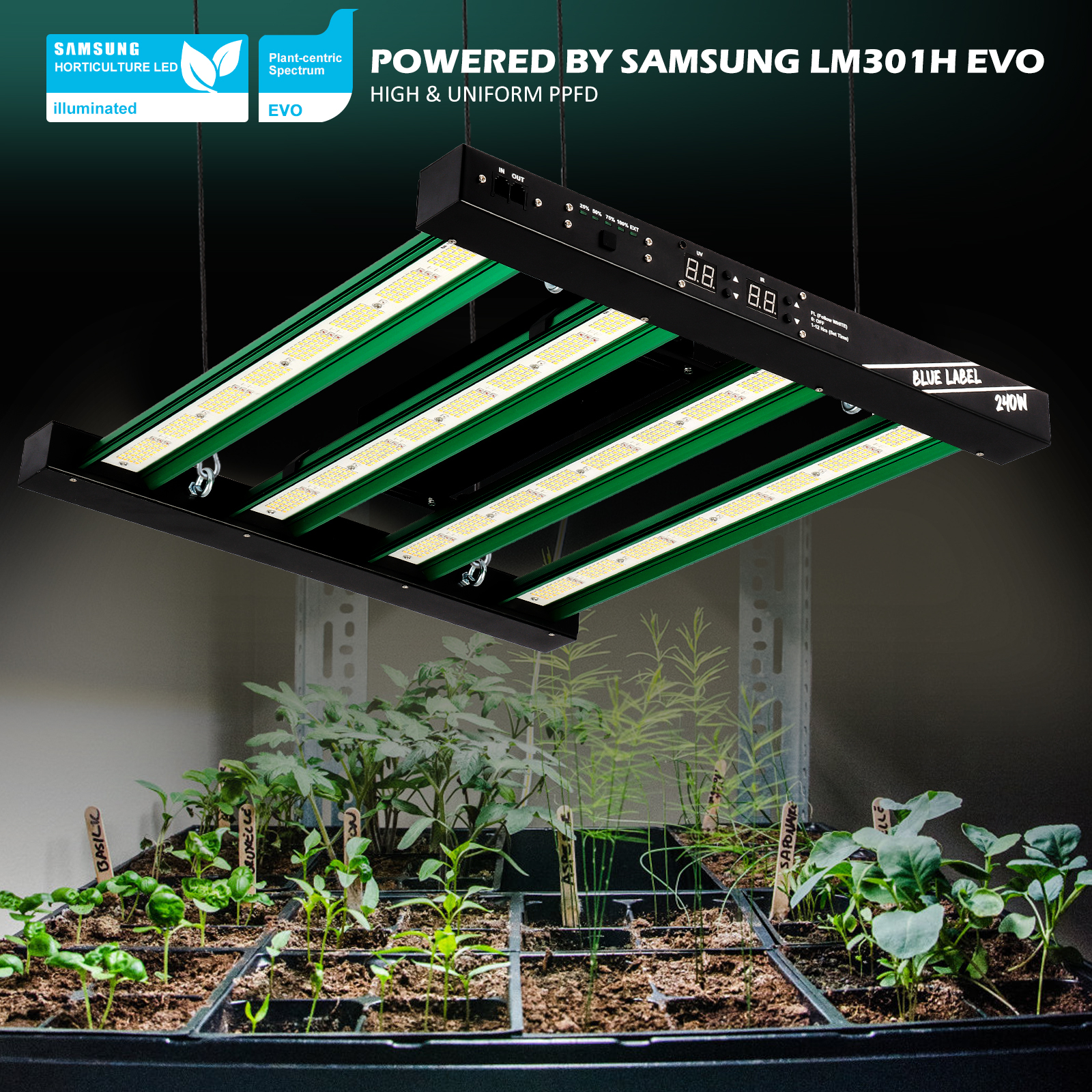 How to Choose the Best Samsung LM301H EVO LED Grow Light for Your ...