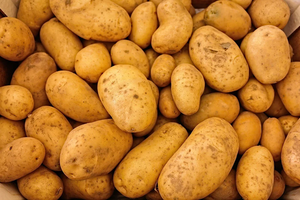 Papas a Precios Bajos con Empaque Personalizado Fresco, Natural y de Calidad Disponible para Uso en la Elaboración de Alimentos - Product Image 5
