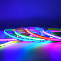 Multicolores RGB CCT RGBW RGBCCT Adressable WS2811 RGBIC Smart Strip Lights 12/24V Led Lights Strips for Commercial Decor