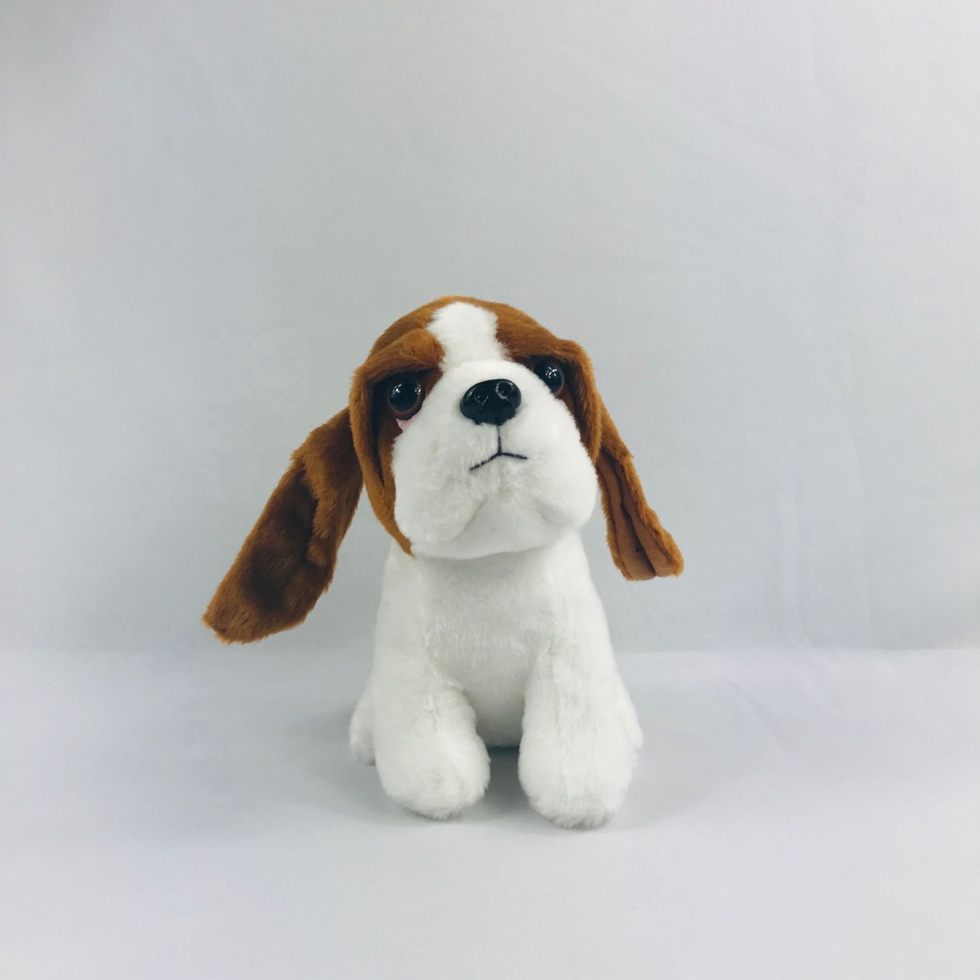 Basset