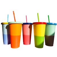 Gobelets réutilisables en plastique de 24oz 700ml avec couvercles et ensembles de pailles