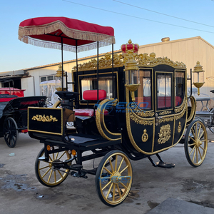 รถม้าไฟฟ้าสี่ล้อสุดหรู ปี 2025 สำหรับการท่องเที่ยวแบบราชวงศ์ งานแต่งงาน และโอกาสพิเศษอื่นๆ มีจำหน่ายแล้ว - Product Image 2