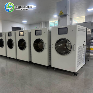 Machine de lyophilisation populaire pour petits aliments avec pompe à vide pour sécher les bonbons et les légumes - Product Image 5