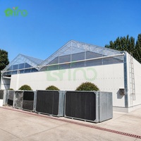 Serre hybride SINO PC+PU avec écran occultant motorisé pour la culture de plantes médicinales et la recherche agricole