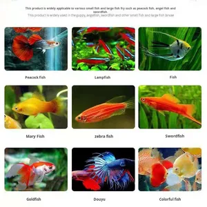 อาหารปลาสวยงามชนิดลอยน้ำ ผลิตจากหนอนแดงออร์แกนิกแบบฟรีซดราย ปราศจากสาร GMO  โปรตีนสูง เป็นมิตรต่อสิ่งแวดล้อม อุดมด้วยวิตามินและแร่ธาตุ 100% - Product Image 6