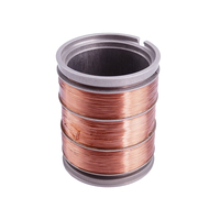 Bobina de Inductor de Alambre de Cobre con Esqueleto Personalizado OEM ODM para Fuente de Alimentación y Maquinaria Industrial al por Mayor