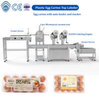 Machine d'étiquetage automatique électrique SKILT à commande PLC de haute précision pour barquettes à œufs en plastique avec moteur pour étiquettes de produits à code-barres