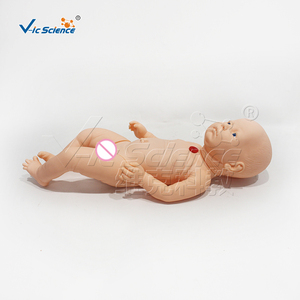 Modelo de Cuidado de Traqueostomía Infantil de PVC a Tamaño Real con Práctica de Succión para Laboratorio de Enfermería, con Certificaciones CE, ISO, ROHS y CNAS - Product Image 3