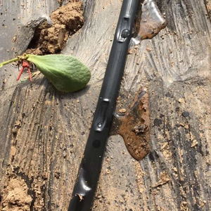 Hecho en China 16mm 22mm <span class=keywords><strong>Gotero</strong></span> Cinta <span class=keywords><strong>de</strong></span> <span class=keywords><strong>riego</strong></span> por goteo <span class=keywords><strong>Manguera</strong></span> <span class=keywords><strong>de</strong></span> <span class=keywords><strong>riego</strong></span> por goteo agrícola - Product Image 2