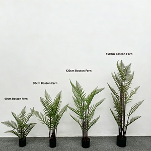 Planta Artificial de Helecho en Oferta, Simulación de Helecho de Boston, Estilo Zen Chino, Planta en Maceta para Jardín, Patio y Paisajismo - Product Image 3