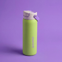 Bouteille d'eau isotherme en acier inoxydable avec couvercle à clapet et paille, anti-fuite, sans BPA, réutilisable, isolation thermique 12-24h pour adultes