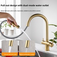 Robinet de cuisine extractible en laiton, mitigeur eau chaude et froide pour évier de légumes, rotation à 360°, purificateur 3-en-1, monotrou