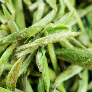 Té Verde Huangshan Maofeng SG2 de Alta Calidad de China, Regalo Personalizado 2025, Té Artesanal Pre-Qingming, Aroma Rico, en Caja Rizada - Product Image 6