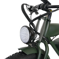 Long vélo électrique Enduro 750w vélo électrique d'assistance de pédale de batterie au Lithium avec conception de tube vers le bas