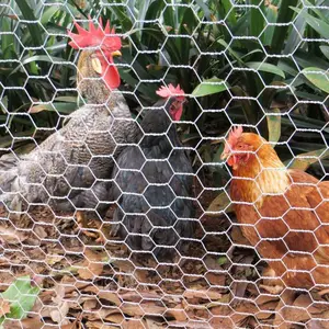 Factory supply 1" hot dip chicken wire 0.4mm 0.7mm heavy duty galvanised hexagonal wire mesh Kenya