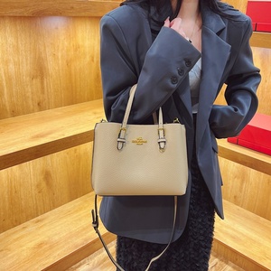 Sac à main de luxe pour femme de qualité supérieure, élégant, style designer, sac à bandoulière haut de gamme pour femme, sac fourre-tout tendance avec quincaillerie classique - Product Image 2