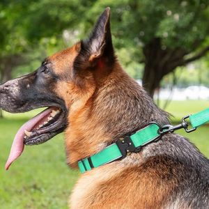 Colliers tactiques <span class=keywords><strong>pour</strong></span> <span class=keywords><strong>chien</strong></span> en nylon réglables, rembourrés, confortables, réfléchissants et résistants, avec poignée, <span class=keywords><strong>pour</strong></span> chiens de taille moyenne et grande - Product Image 5