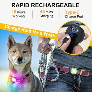 Lumière LED pour chien personnalisée avec logo imprimé, étanche IPX7, rechargeable, pour collier et harnais, lumière de sécurité LED pour chien pour la marche nocturne - Product Image 6