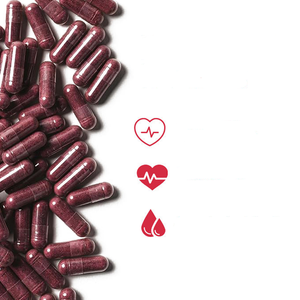 Травяная добавка OEM, экстракт корня свеклы, добавка корня свеклы, капсулы корня свеклы - Product Image 5