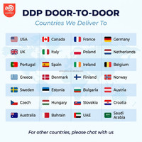 Servicio de Transporte Profesional DPS Puerta a Puerta, Envío LCL+Express con Seguro a EE. UU., Italia, Canadá, Reino Unido y Rusia