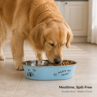 Bol double moderne en acier inoxydable 304 pour animaux de compagnie, design séparé pour nourriture et eau, pour chats et chiens