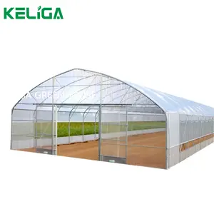 Agricultural Tunnel Plastic Greenhouse Commercial Hemp Vegetable Cultivation Greenhouse Cover Material