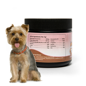 Prezzo all'ingrosso rafforzare muscolo Pet costruttore muscolare Pet cura della salute per animali domestici e integratori con miscela di funghi - Product Image 2