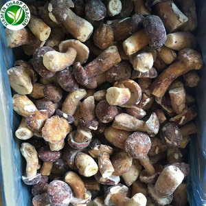 Champignons <span class=keywords><strong>Porcini</strong></span> Biologiques Cultivés IQF Congelés <span class=keywords><strong>Boletus</strong></span> Edulis - Product Image 3