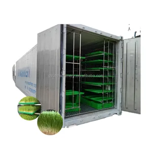 Macchina per la produzione di foraggi per animali verdi con container da 20gp completamente chiusa
