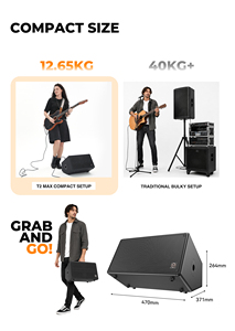 Système de sonorisation portable Musiccube <span class=keywords><strong>T2</strong></span> Max, enceinte de scène rechargeable pour buskings, enceinte vocale-acoustique professionnelle - Product Image 3