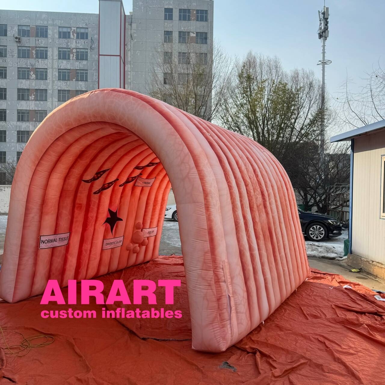 Large Inlfatable Medical Models Large Intestine Inflatable Model for Medical, Mega Colon Inflatables ...