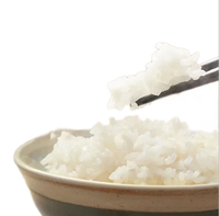 Instant 100% Fresh Rice Dehydrated Retort Food with Pure Flavor Healthy 25kg 2 Years Shelf Life XBS Brand Snack Porridge Purpose