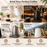 Bouilloire électrique à col de cygne Kingze OEM 800 ml en acier inoxydable à ébullition ultra-rapide, réglable, pour café à faire couler