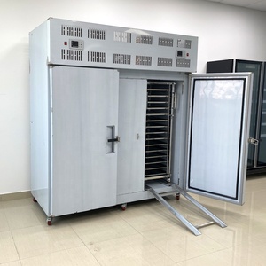 Quá trình thực phẩm tấm Tủ đông chip <span class=keywords><strong>Ice</strong></span> <span class=keywords><strong>Cream</strong></span> Blast đóng băng Máy làm lạnh máy Tủ đông sốc lạnh thiết bị để bán - Product Image 5