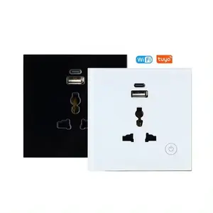 Tuya Smart Appliances Smart Wall Sockets And Switches EU Standard Usb Type-c Power Socket matter HomeKit Wifi Smart Socket
