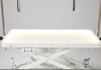 Table de toilettage pour animaux de compagnie YM-D001LP, à commande tactile, rechargeable, en acrylique et acier inoxydable, avec éclairage LED, sûre et pratique