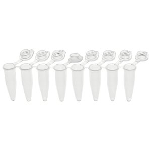 En popüler tek plastik <span class=keywords><strong>PCR</strong></span> tüp temizle 0.2ml 8 şeritli <span class=keywords><strong>PCR</strong></span> tüp - Product Image 1