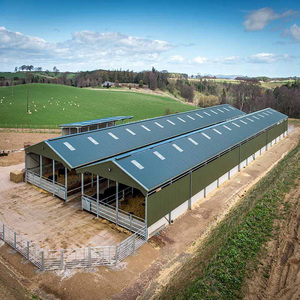 Nave Agrícola Moderna Grande/Pequeña <span class=keywords><strong>de</strong></span> Acero para Ovejas/Cerdos/<span class=keywords><strong>Cabras</strong></span>/Lechería/Vacas, Construcción Económica Prefabricada para Granja - Product Image 6