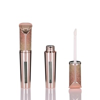Tube de brillant à lèvres vide de 5,5 ml, brillant et scintillant, avec étui en cuir argenté pour emballage de gloss