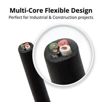 Fil de cuivre royal standard philippin 10/3 12/2 14/2 16/4 18/2 AWG, flexible, multiconducteur, haute pureté, double isolation, pour chauffage