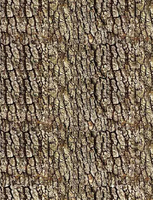 Film hydrographique effet écorce d'arbre, transfert d'eau, hydrodipping, hydro dip, camouflage arboricole réaliste pour voiture
