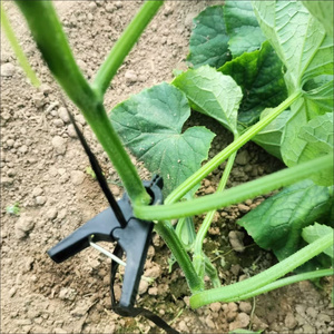 Clips para Sujetar Plantas, Clips para Orquídeas para Apoyar Tallos y Hacer Crecer Verticalmente para Enredaderas y Huertos - Product Image 5