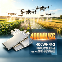 Cellules de batterie LiPo à semi-conducteurs Leadyo SSB3.7V10 400Wh/kg 3.7V 10000mAh 10C haute densité énergétique pour drone FPV UAV